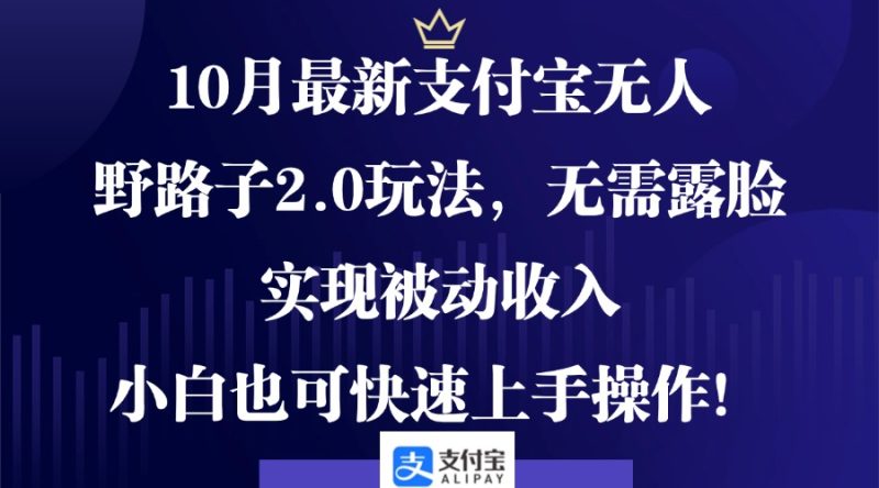（12824期）10月最新支付宝无人野路子2.0玩法，无需露脸，实现被动收入，小白也可…-副业宝典