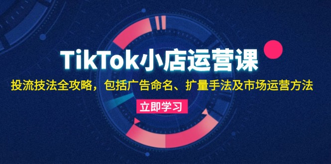 （13063期）TikTok小店运营课：投流技法全攻略，包括广告命名 扩量手法及市场运营方法-副业宝典