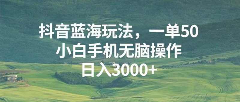 （13353期）抖音蓝海玩法，一单50，小白手机无脑操作，日入3000+-副业宝典