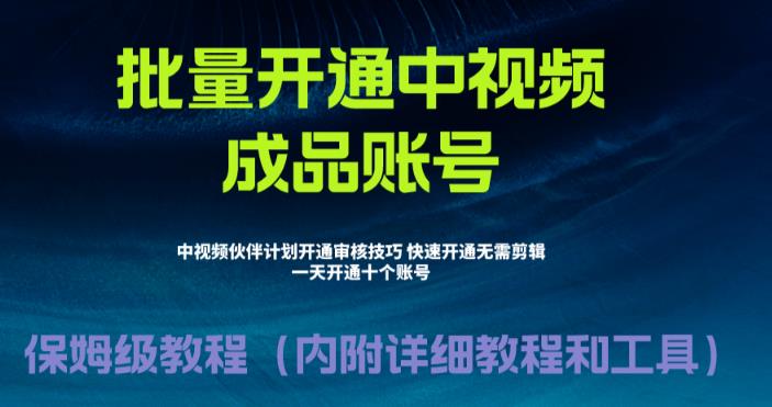 外面收费1980暴力开通中视频计划教程，附 快速通过中视频伙伴计划的办法-副业宝典