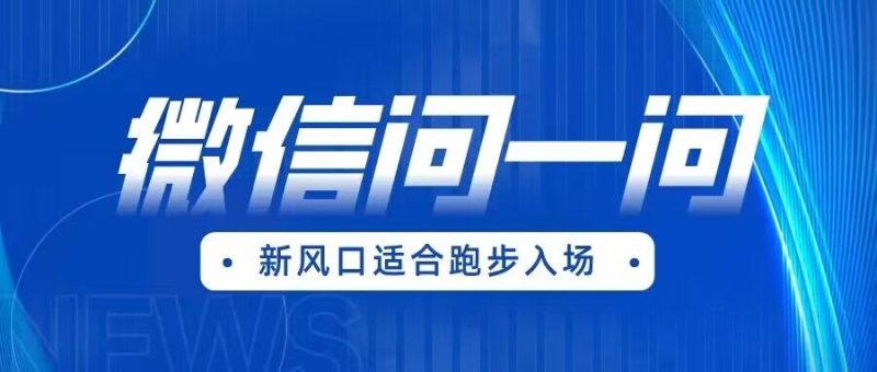 全网首发微信问一问新风口变现项目（价值1999元）-副业宝典