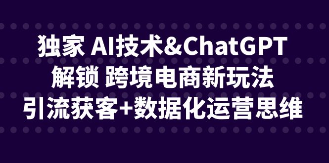独家 AI技术&ChatGPT解锁 跨境电商新玩法，引流获客+数据化运营思维-副业宝典