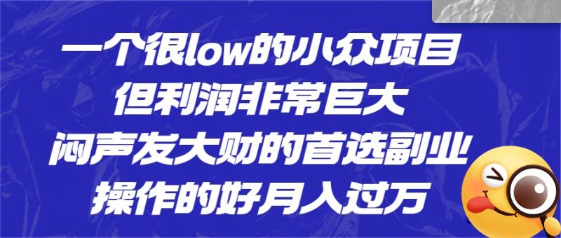 一个很low的小众项目，但利润非常巨大，闷声发大财的首选副业，操作的好月入过万-副业宝典