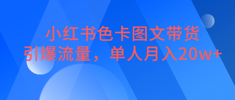 小红书色卡图文带货，引爆流量，单人月入20W+-副业宝典