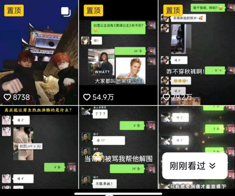 图片[2]-抖音搞笑对话项目详解-涨粉快作品简单，小白轻松上手-副业宝典