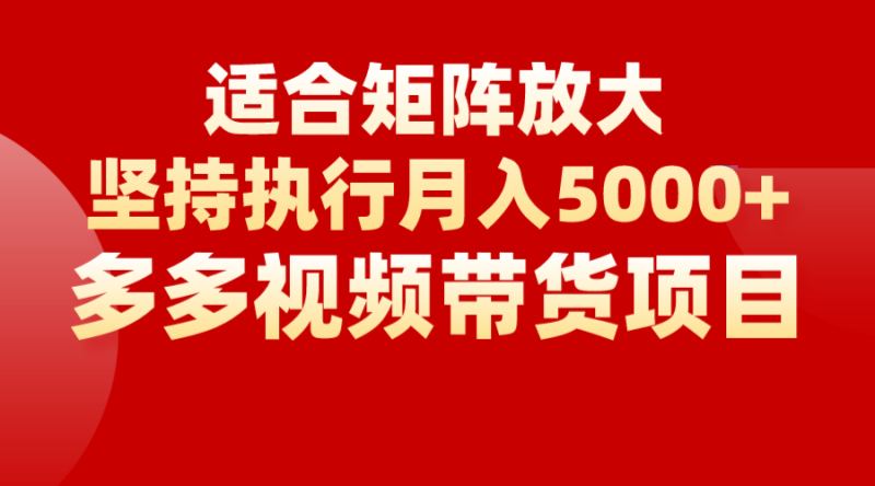 矩阵操作月入5000+，多多视频带货项目，适合新手，也适合老手放大-副业宝典