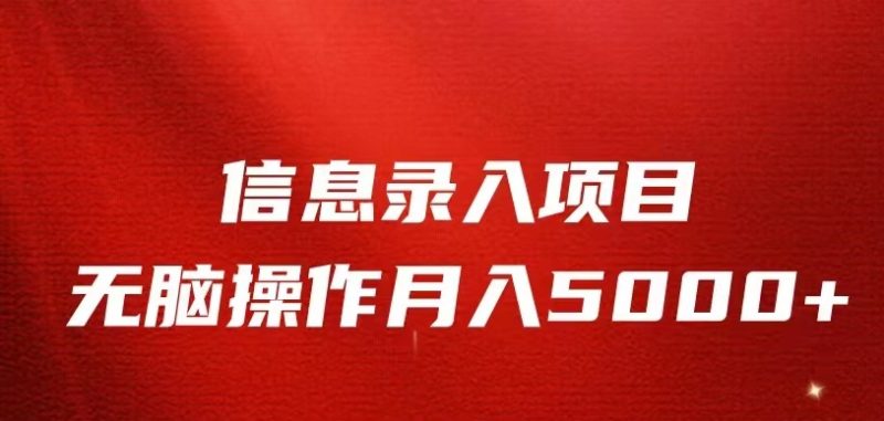 信息录入返佣项目，小白无脑复制粘贴，月入5K+-副业宝典