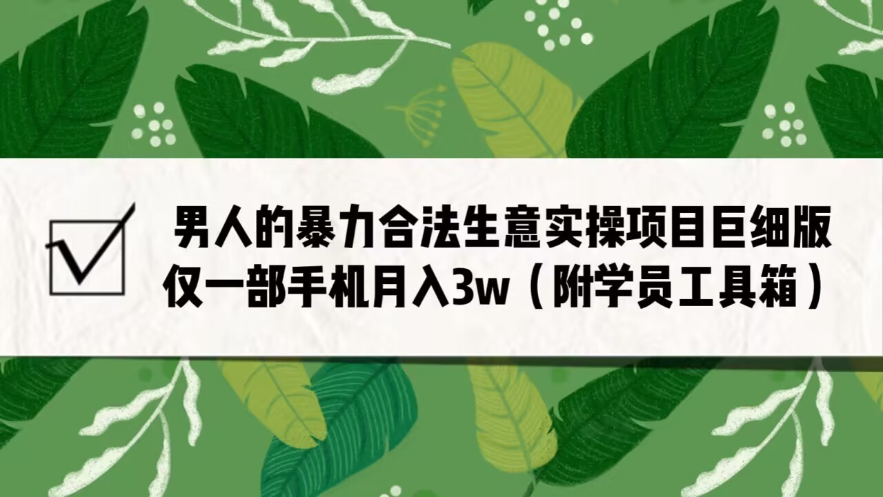 男人的暴力合法生意实操项目巨细版：仅一部手机月入3w（附赠学员工具箱）-副业宝典