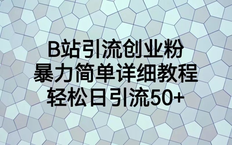 B站引流创业粉，暴力简单详细教程，轻松日引流50+-副业宝典