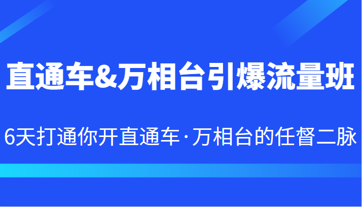直通车&万相台引爆流量班 6天打通你开直通车·万相台的任督二脉-副业宝典