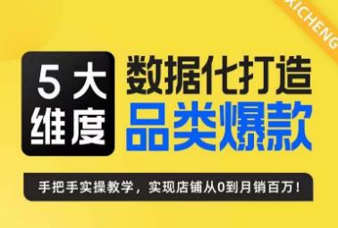 5大维度，数据化打造电商品类爆款特训营，一套高效运营爆款方法论-副业宝典