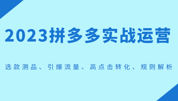 2023拼多多实战运营，选款测品、引爆流量、高点击转化、规则解析-副业宝典
