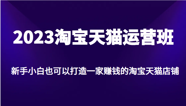 2023淘宝天猫运营班，新手小白也可以打造一家赚钱的淘宝天猫店铺-副业宝典