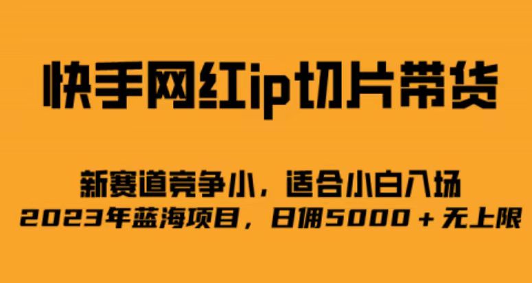 快手网红ip切片新赛道，竞争小，适合小白  2023蓝海项目-副业宝典