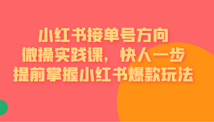 小红书接单号方向微操实践课，快人一步提前掌握小红书爆款玩法-副业宝典