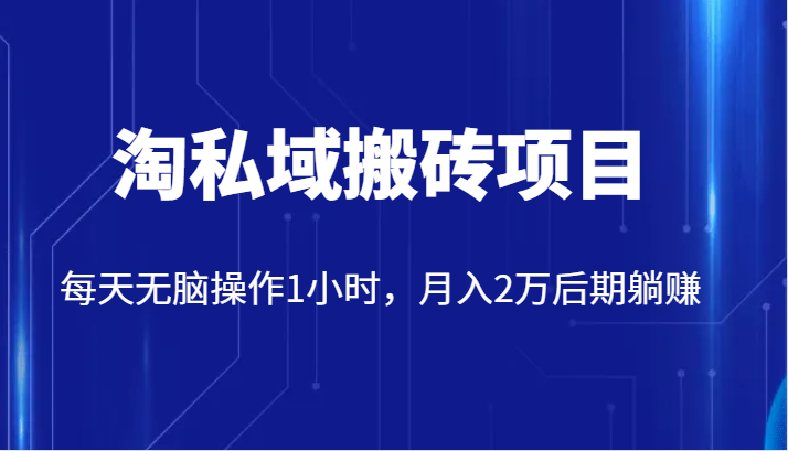 价值2980的淘私域搬砖项目，每天无脑操作1小时，月入2万后期躺赚-副业宝典