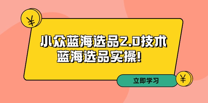 拼多多培训第33期：小众蓝海选品2.0技术-蓝海选品实操-副业宝典