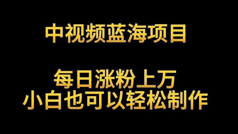 中视频蓝海项目，解读英雄人物生平，每日涨粉上万，小白也可以轻松制作，月入过万-副业宝典