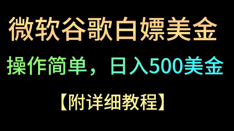微软谷歌项目3.0，轻松日赚500+美金，操作简单，小白也可轻松入手！-副业宝典