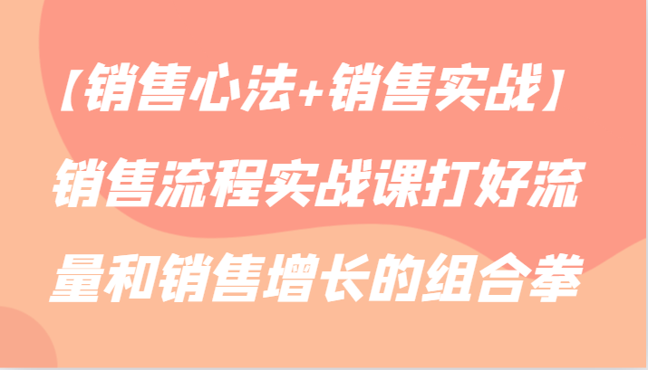 【销售心法+销售实战】销售流程实战课打好流量和销售增长的组合拳-副业宝典