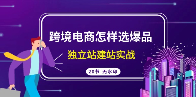 跨境电商怎样选爆品，独立站建站实战（20节高清课）-副业宝典