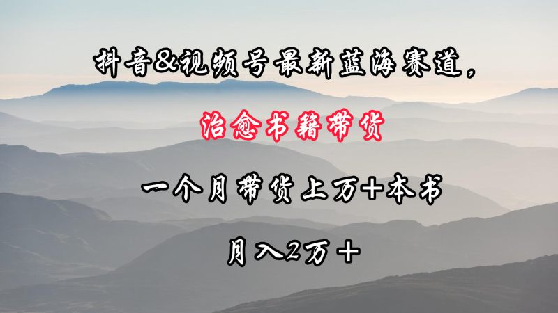 抖音&视频号最新蓝海赛道，治愈书籍带货，一个月带货上万+本书，月入2万＋-副业宝典