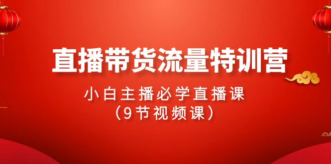 2024直播带货流量特训营，小白主播必学直播课（9节视频课）-副业宝典