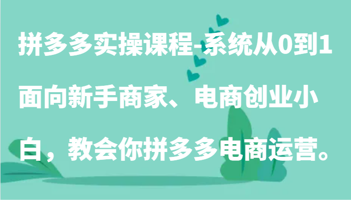 拼多多实操课程-系统从0到1，面向新手商家、电商创业小白，教会你拼多多电商运营。-副业宝典