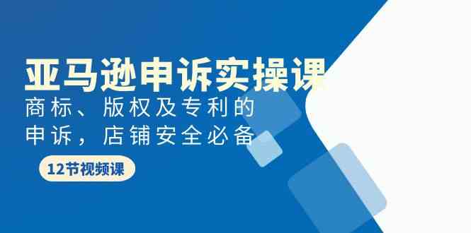 亚马逊申诉实战课，商标、版权及专利的申诉，店铺安全必备-副业宝典