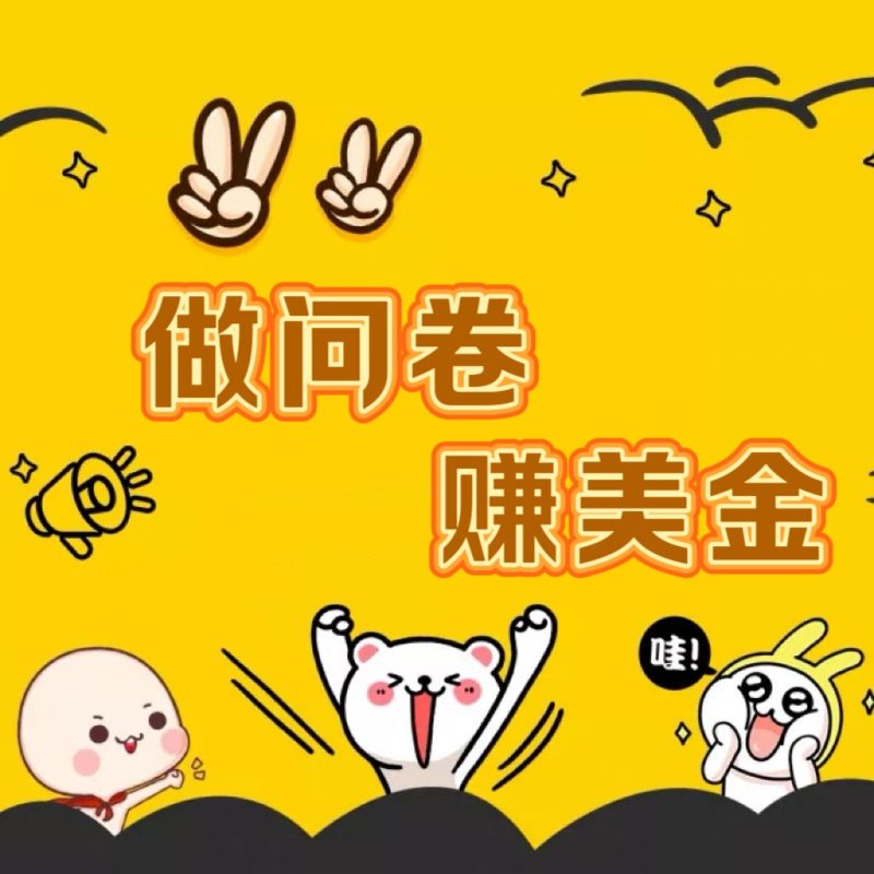 国外问卷调查小白家也可批量操作（口子查站点查渠道查）真正的长久稳定项目 日入1500+-副业宝典