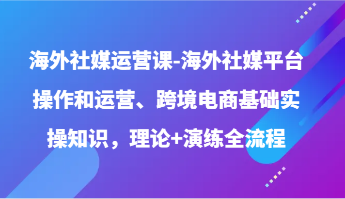 海外社媒运营课-海外社媒平台操作和运营、跨境电商基础实操知识，理论+演练全流程-副业宝典