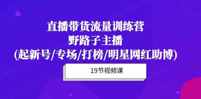 直播带货流量特训营，野路子主播(起新号/专场/打榜/明星网红助博)-副业宝典