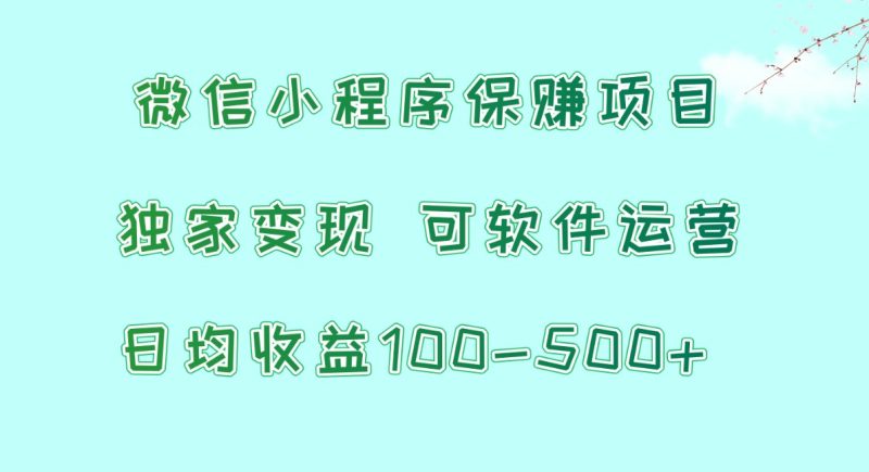 微信小程序保赚项目，日均收益100~500+，独家变现，可软件运营-副业宝典