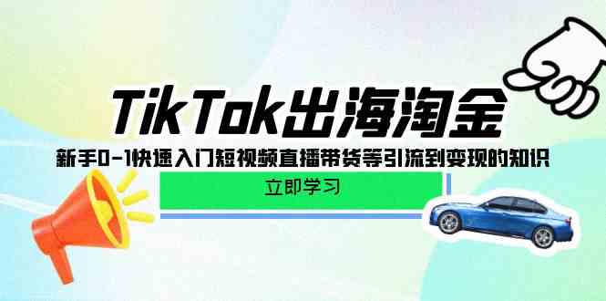 TikTok出海淘金，新手0-1快速入门短视频直播带货等引流到变现的知识-副业宝典