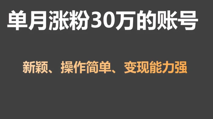 单月涨粉30万，带货收入20W，5分钟就能制作一个视频！-副业宝典