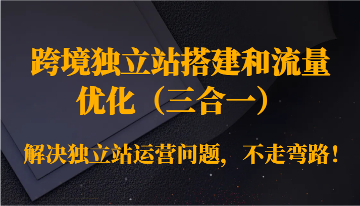 跨境独立站搭建和流量优化（三合一）解决独立站运营问题，不走弯路！-副业宝典