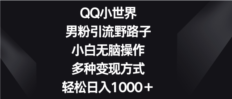 QQ小世界男粉引流野路子，小白无脑操作，多种变现方式轻松日入1000＋-副业宝典