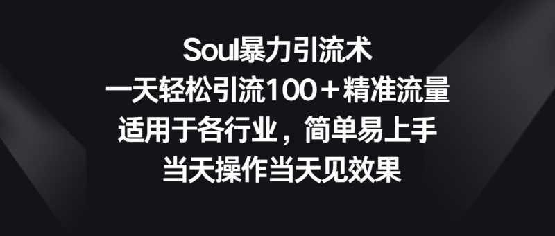 Soul暴力引流术，一天轻松引流100＋精准流量，适用于各行业，简单易上手！-副业宝典
