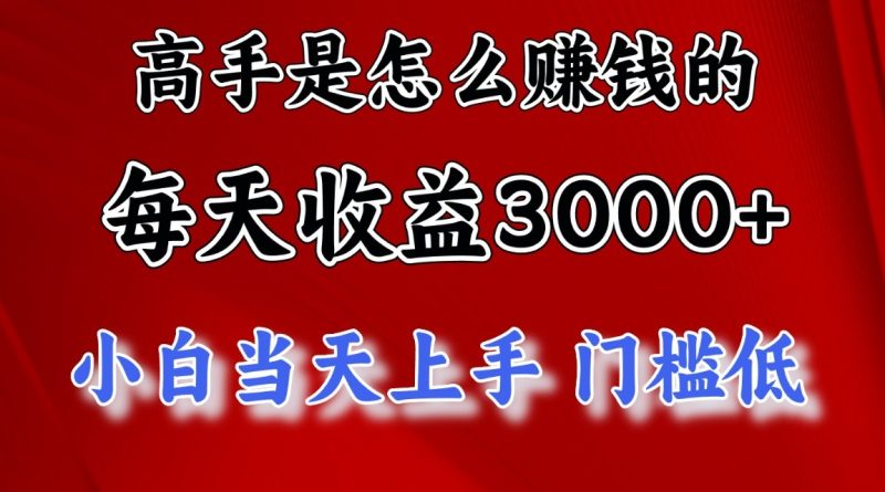 高手是怎么一天赚3000+的，小白当天上手，翻身项目，非常稳定。-副业宝典