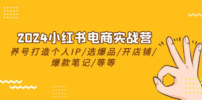 2024小红书电商实战营，养号打造IP/选爆品/开店铺/爆款笔记/等等（24节）-副业宝典