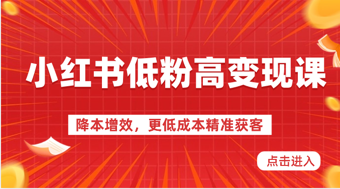 小红书低粉高变现课-降本增效，更低成本精准获客，小红书必爆的流量密码-副业宝典