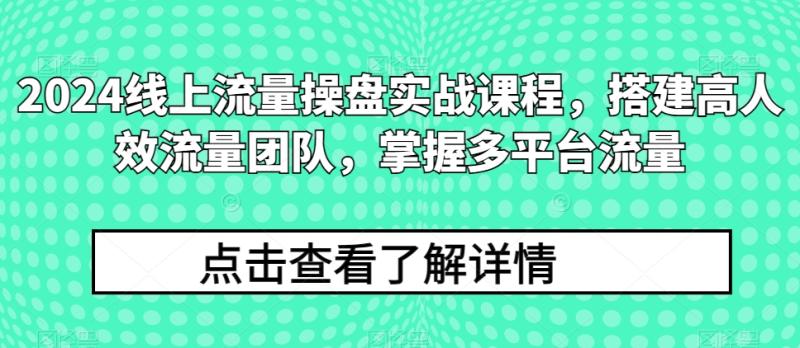 2024线上流量操盘实战课程，搭建高人效流量团队，掌握多平台流量-副业宝典