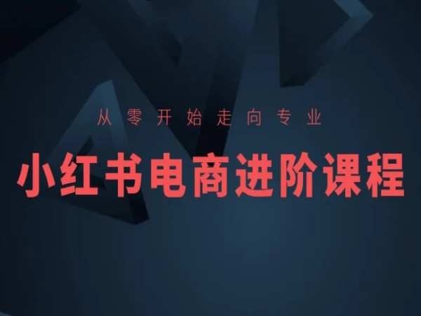 从零开始走向专业，小红书电商进阶课程-副业宝典
