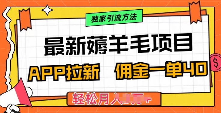 最新薅羊毛项目，利用购物APP拉新，佣金一单40.配合独家引流方法-副业宝典