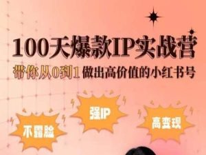 小红书100天爆款IP实战营，带你从0到1做出高价值的小红书号-副业宝典