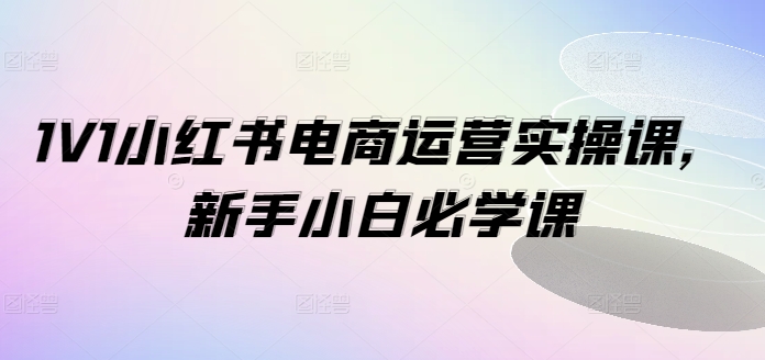 1V1小红书电商运营实操课，新手小白必学课-副业宝典