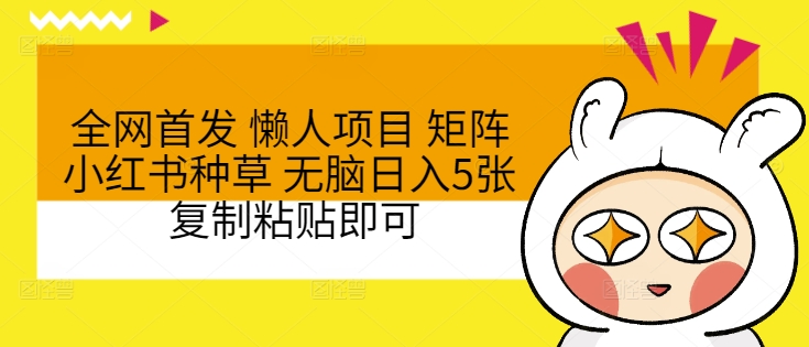 全网首发 懒人项目 矩阵小红书种草 无脑日入5张 复制粘贴即可-副业宝典