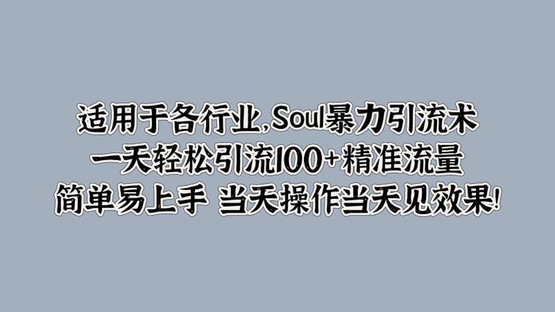 Soul暴力引流术，一天轻松引流100+精准流量，简单易上手 当天操作当天见效果!-副业宝典