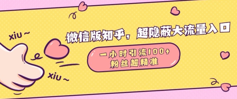 微信版知乎，超隐蔽流量入口1小时引流100人，粉丝质量超高【揭秘】-副业宝典