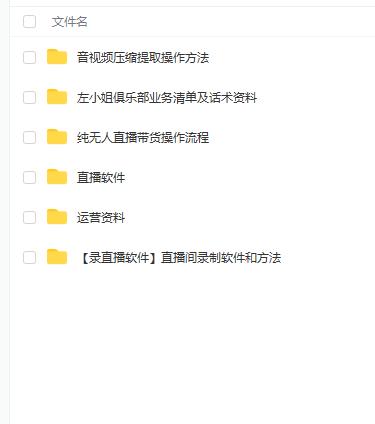 左小姐-直播带货俱乐部十三行、无人直播，全套教程附：工具、文档、话术资料-副业宝典